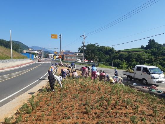 메인사진