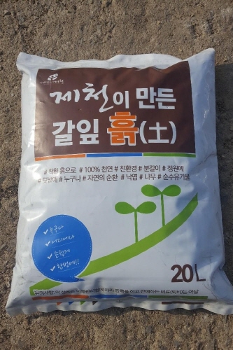 메인사진