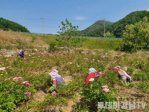 메인사진