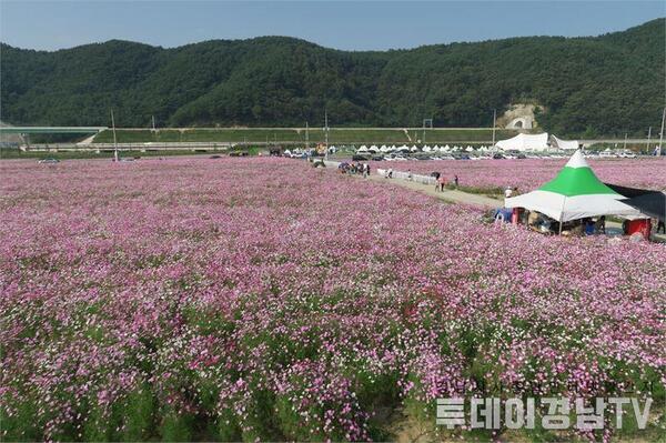 메인사진