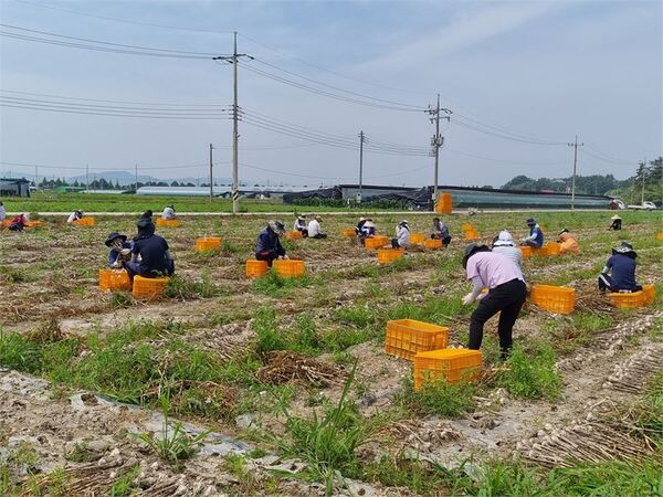 메인사진