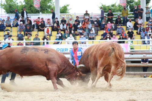 메인사진