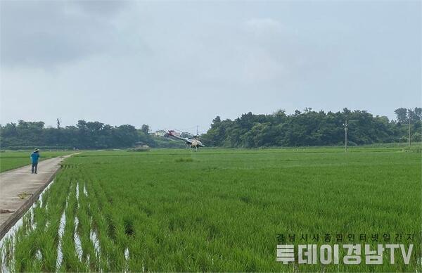 메인사진