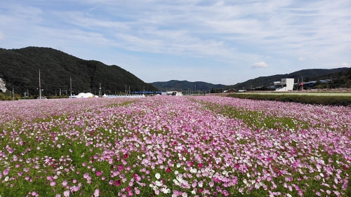 메인사진