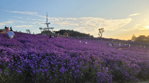 메인사진